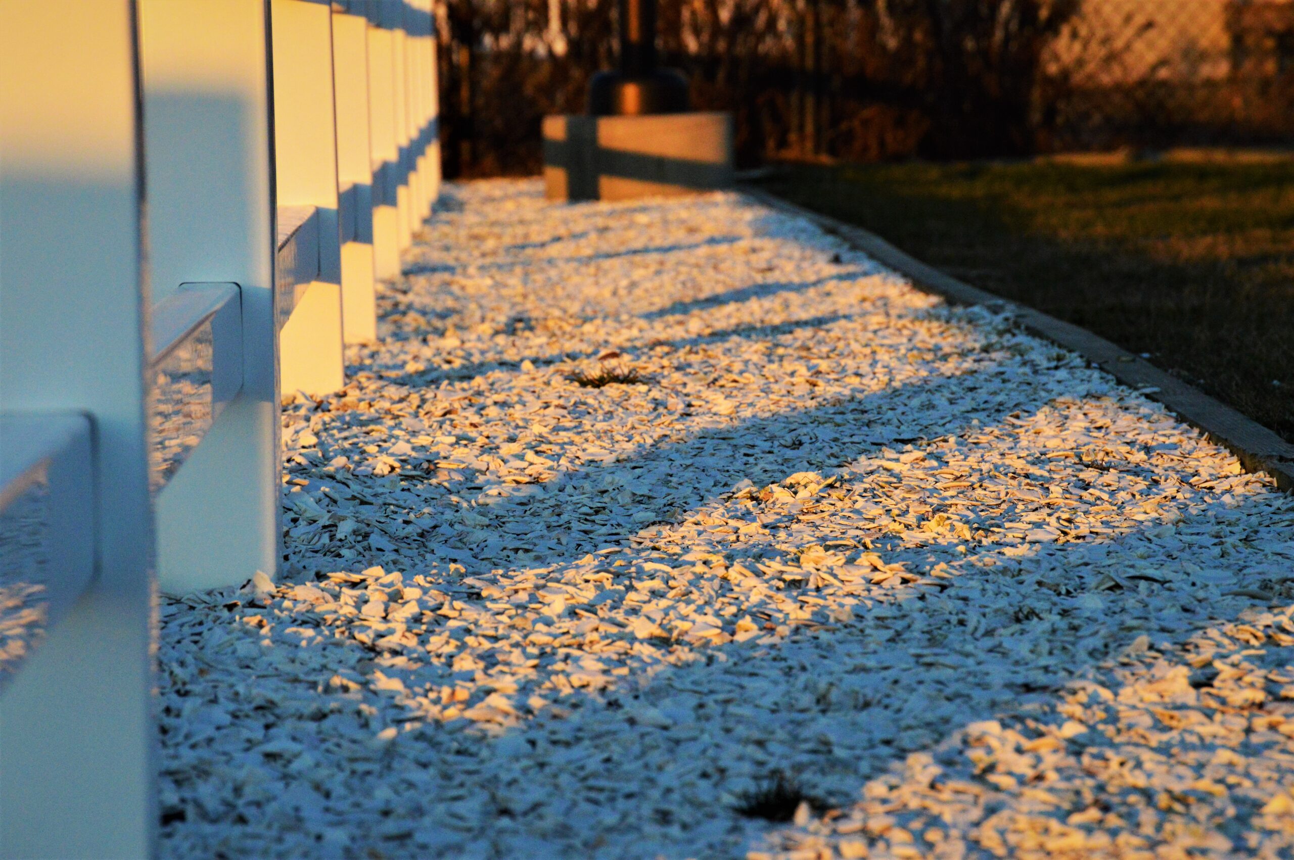 Grassy field with standing water near a brown fence line.